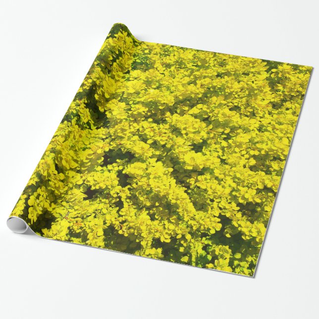Yellow Flowering Shrubs Golden Template Woadwaxen Wrapping Paper (Unrolled)