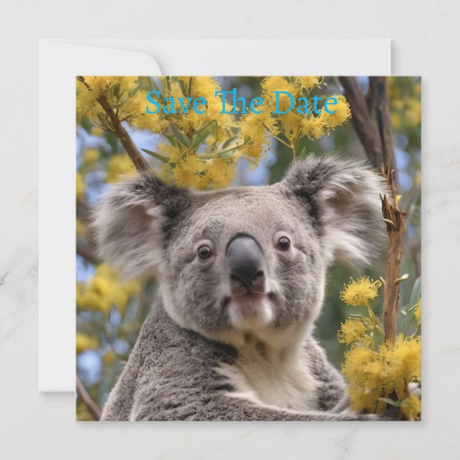Yellow Flowering Wattle Tree With A Koala, Save The Date (Front)