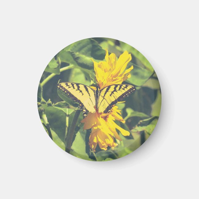 Yellow Flowers and Butterfly Magnet (Front)
