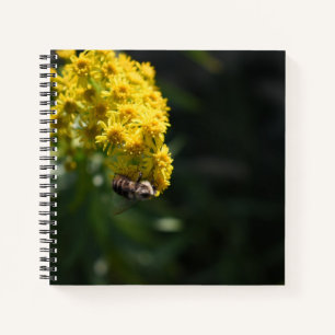 Yellow Flowers Bee Bumblebee Nature Photography Notebook