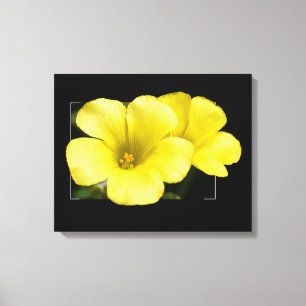 yellow flowers canvas print