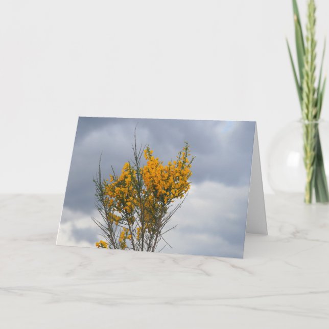 yellow flowers card (Front)