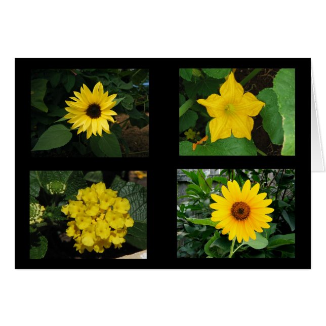 Yellow Flowers Collection (Front Horizontal)