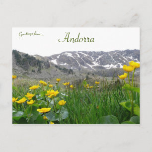 Yellow Flowers Near the Midi Pyrenees in Andorra Postcard