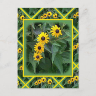 Yellow Flowers Postcard