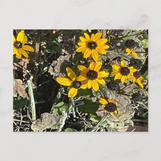 Yellow Flowers Postcard