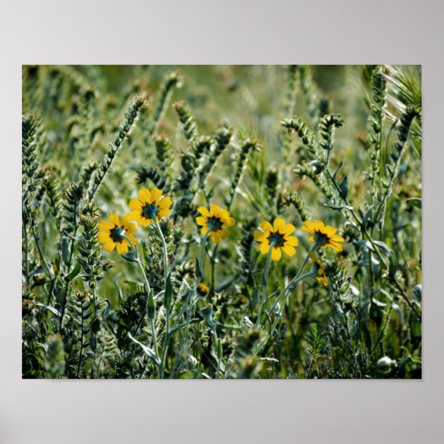 Yellow Flowers Poster (Front)