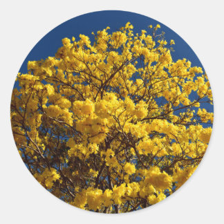 YELLOW FLOWERS QUEENSLAND AUSTRALIA CLASSIC ROUND STICKER
