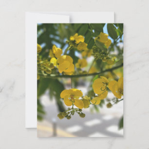 Yellow Flowers with Blurry Background Postcard