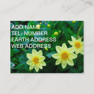 Yellow flowers with Green foliage Business Card