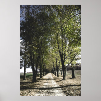 yellow forrest gump poster