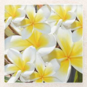 Yellow Frangipani Bouquet, Glass Coaster