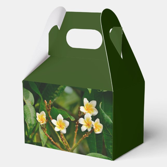 Yellow Frangipani Favour Box (Front)