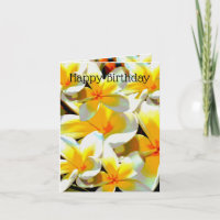 Yellow Frangipanis Oil Painted, Birthday Card,