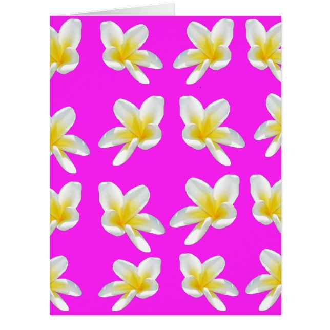 Yellow Frangipanis On Pink, (Front)