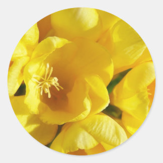 Yellow Freesia Classic Round Sticker