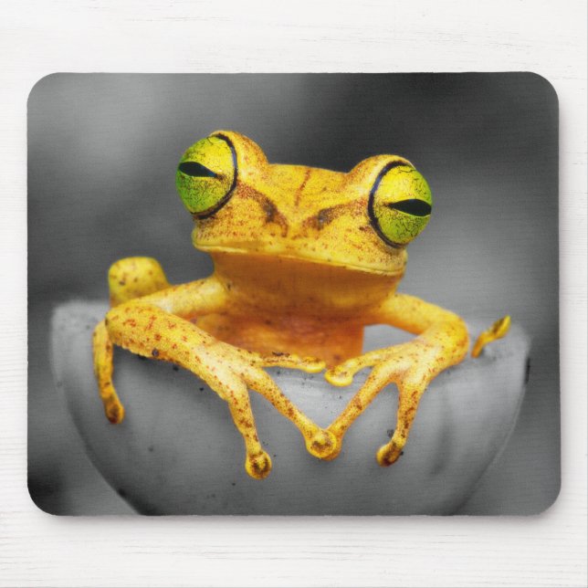 Yellow Frog Mouse Pad (Front)