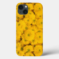 Yellow garden asters mums chrysanthemums flower 