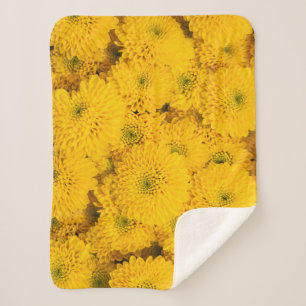 Yellow garden asters mums chrysanthemums flower sherpa blanket