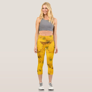 Yellow garden asters Perfect colour summer flower Capri Leggings