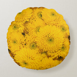 Yellow garden asters Perfect colour summer flower Round Cushion