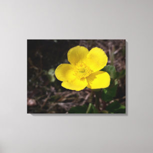 Yellow garden flower canvas print