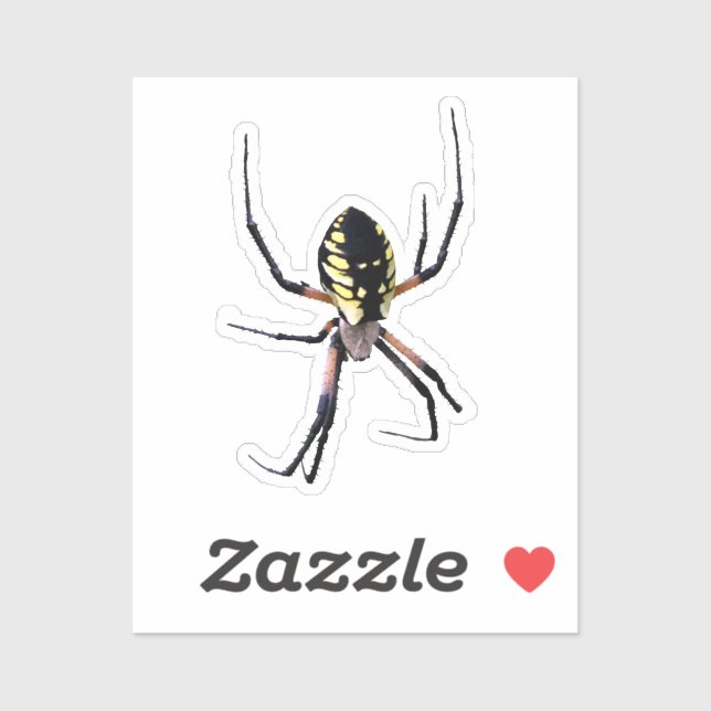 Yellow Garden Spider (Sheet)