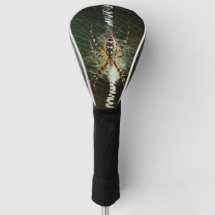 Yellow garden spider closeup golf head cover