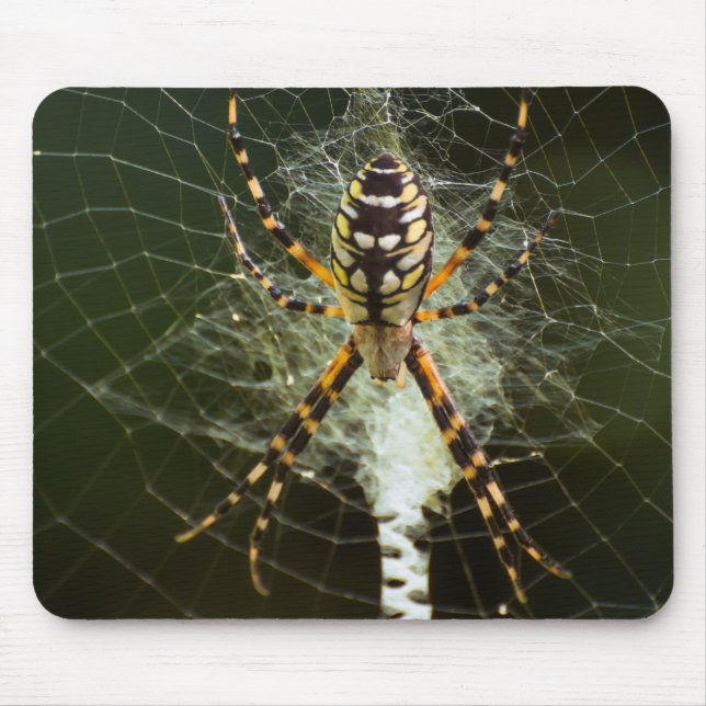 Yellow garden spider mouse pad (Front)