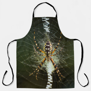 Yellow garden spider on web in dark apron