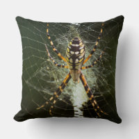Yellow garden spider on web in dark