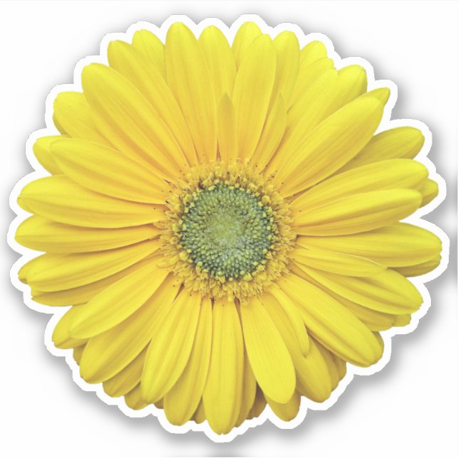 Yellow Gerber Daisy Flower Kiss-Cut Sticker (Front)