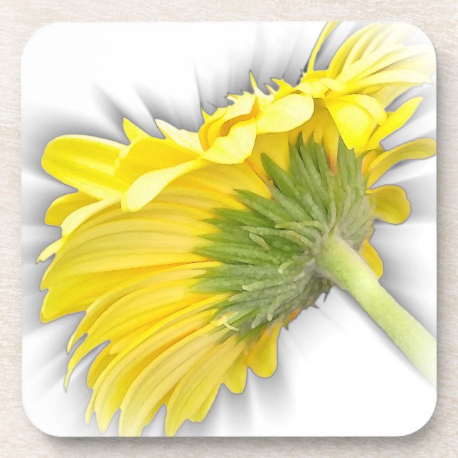yellow gerbera daisy coaster (Front)