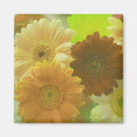 Yellow Gerbera Daisy Flowers Refrigerator Magnets