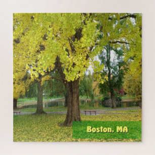 Yellow Gingko Tree - Boston Public Garden Jigsaw Puzzle