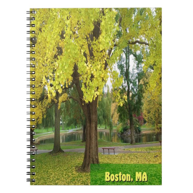Yellow Gingko Tree - Boston Public Garden Notebook (Front)