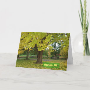Yellow Gingko Tree Card