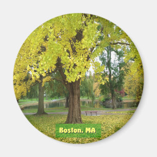 Yellow Gingko Tree Magnet