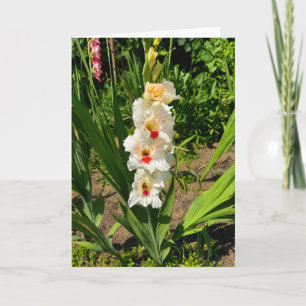 Yellow gladiolus in my garden card