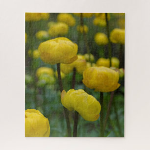 Yellow Globe Flowers Jigsaw Puzzle