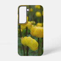 Yellow Globeflower