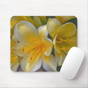 Yellow Gold Lily Garden Flowers Mouse Pad