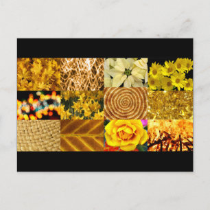 Yellow / Gold Photos Collage Postcard