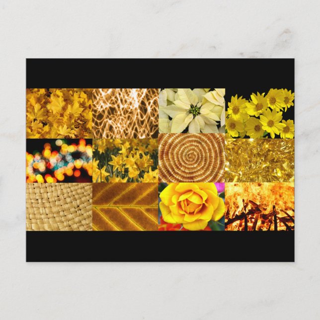 Yellow / Gold Photos Collage Postcard (Front)