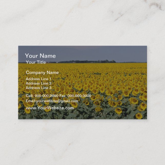 yellow Golden field of sunflowers, Manitoba flower Business Card (Front)