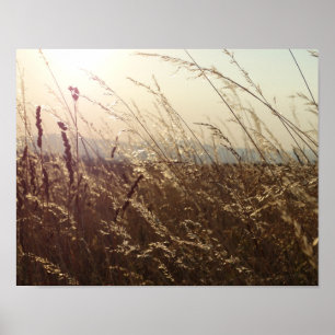 Yellow Grass fields Nature Poster Paper (Matte)
