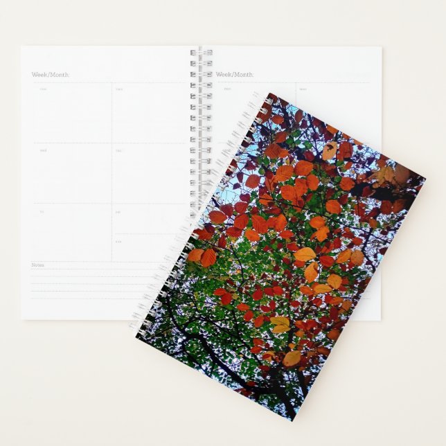 Yellow, green and brown leaves planner (Display)