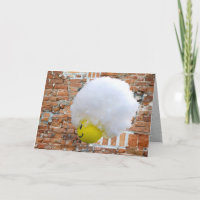 Yellow Happy Face Antenna Topper, Fluffy Snow Hat