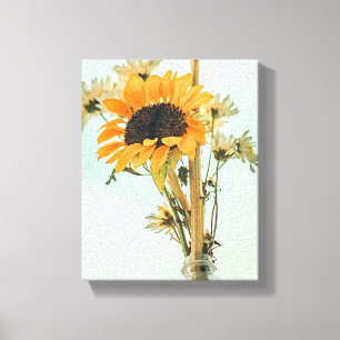 Yellow Hardy Sunflower Best Sunflower Photos Canvas Print