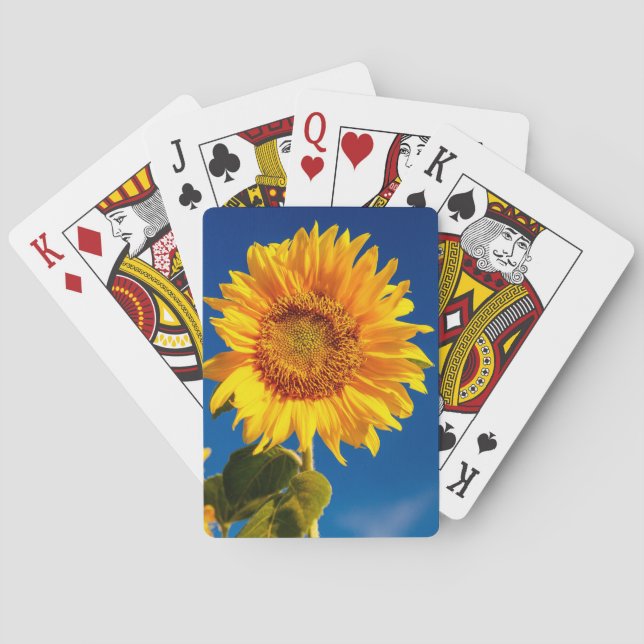 Yellow Hardy Sunflower Best Sunflower Photos Playing Cards (Back)